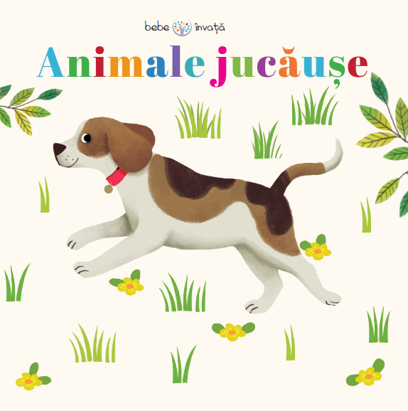 Animale jucause. Bebe invata - 34.99 Lei
