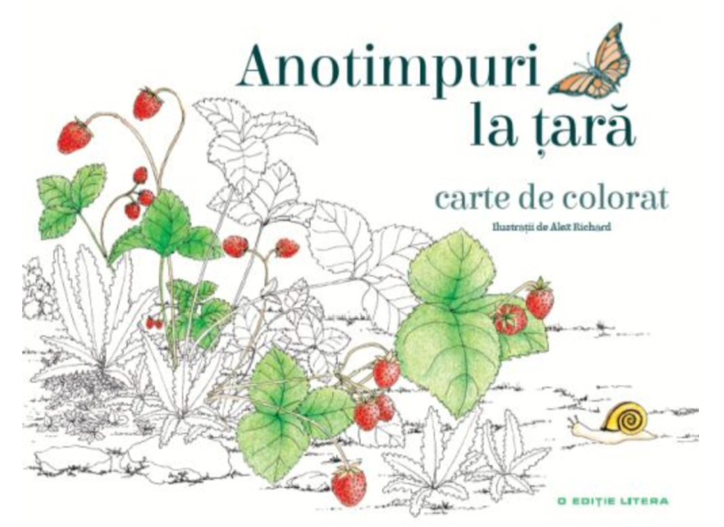 Anotimpuri la tara. Carte de colorat - 6.25 Lei