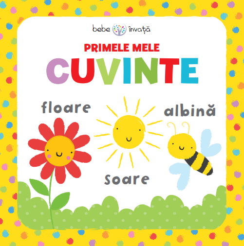 Bebe invata. Primele mele cuvinte - 24.99 Lei