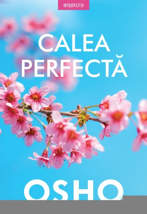 Calea perfecta - 13.50 Lei
