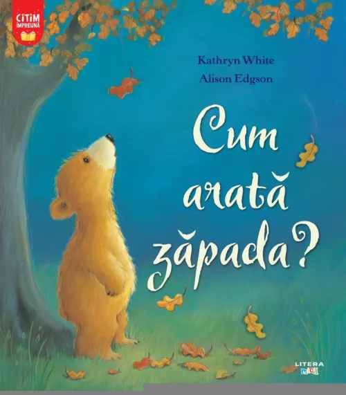 Cum arata zapada? - 12.50 Lei
