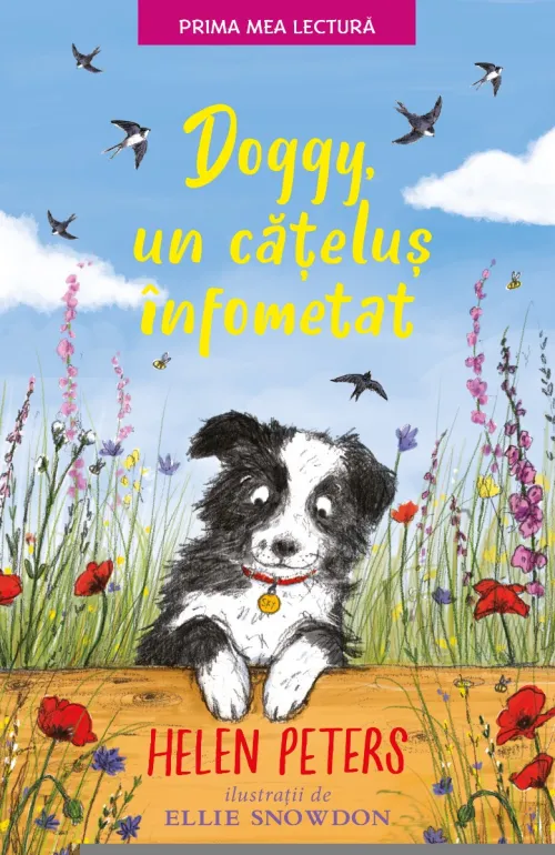 Doggy, un catelus infometat. Prima mea lectura - 19.99 Lei