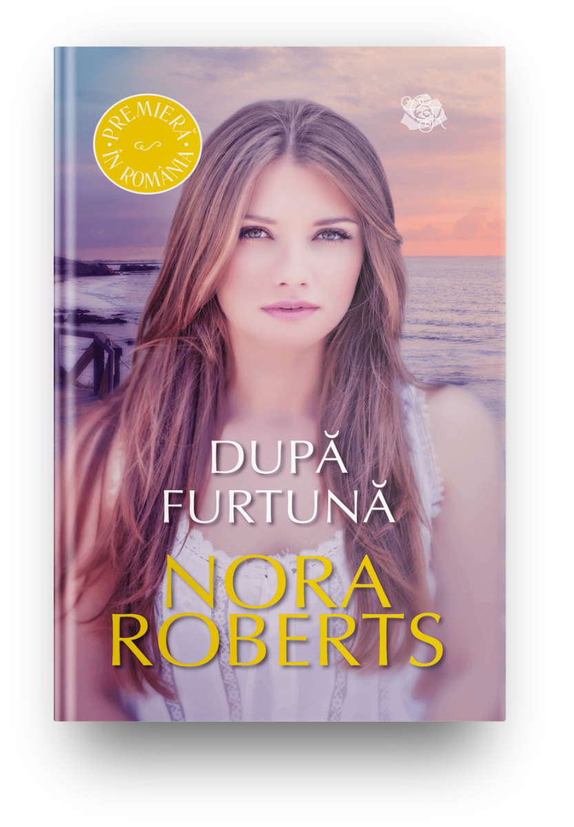 Dupa furtuna - 10.00 Lei