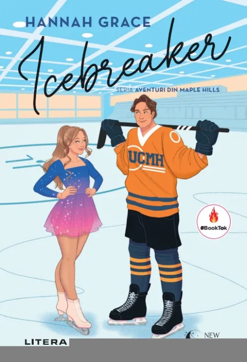 Icebreaker - 26.00 Lei