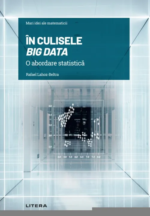 In culisele Big Data. O abordare statistica - 42.18 Lei