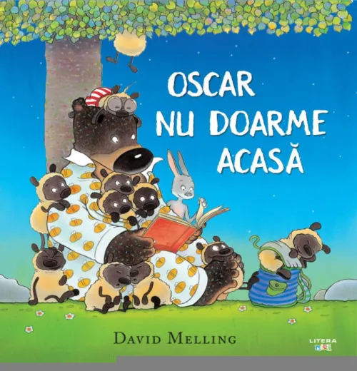 Oscar nu doarme acasa - 29.99 Lei
