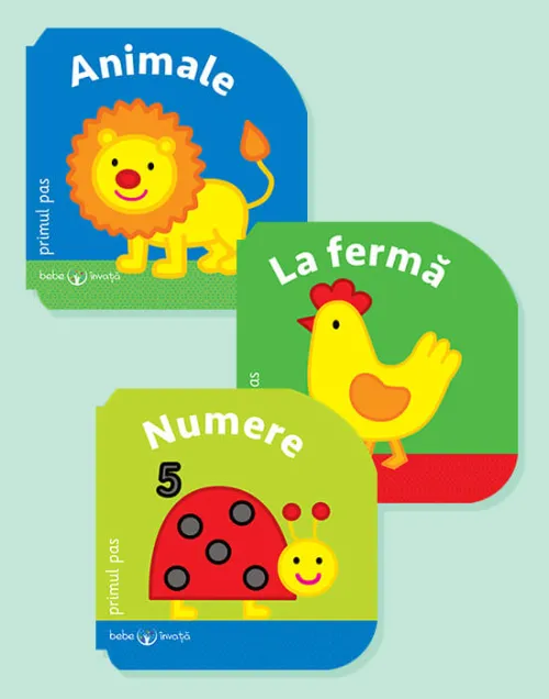 Pachet Bebe Primul Pas - 26.99 Lei