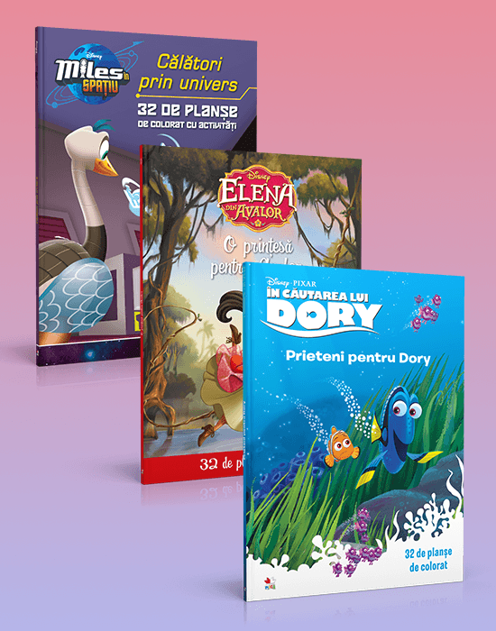 Pachet Planse de colorat - 12 Lei