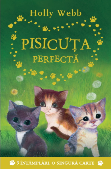 Pisicuta perfecta - 39.99 Lei