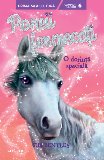 Poneii fermecati. O dorinta speciala (Nivelul 6) - 12.00 Lei