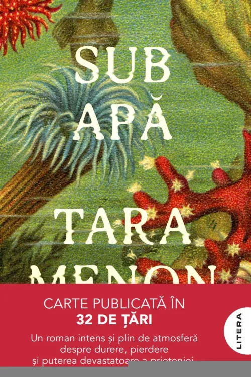 Sub apa - 58.49 Lei
