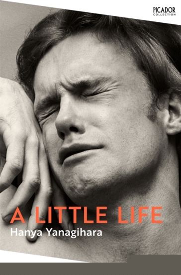 A Little Life - 69.49 Lei
