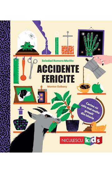 Accidente fericite - 28,40 Lei