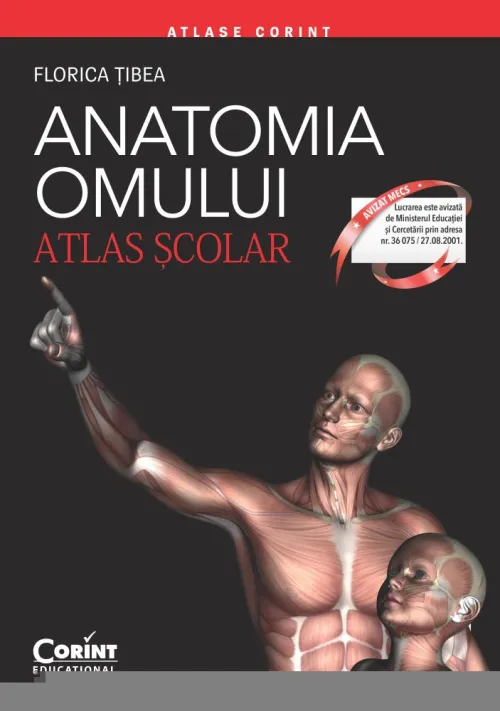 Anatomia omului. Atlas scolar - 26.99 Lei