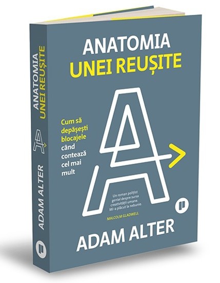 Anatomia unei reusite - 46.45 Lei