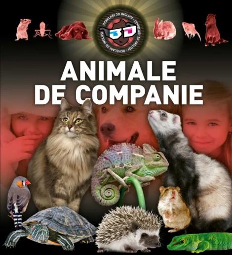 Animale de companie 3D - 41.50 Lei