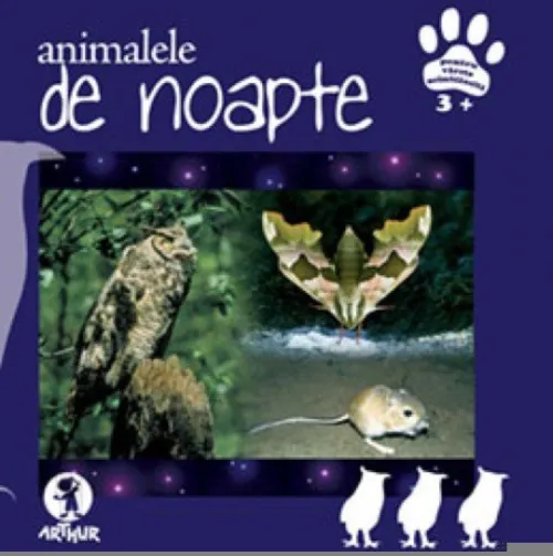 Animalele de noapte - 19.71 Lei