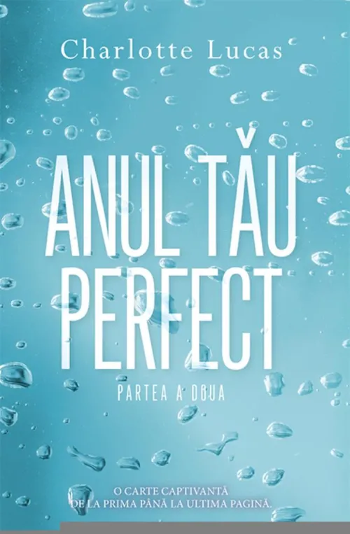 Anul tau perfect - partea a doua - 25.24 Lei