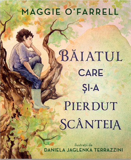 Baiatul care si-a pierdut scanteia - 34.08 Lei