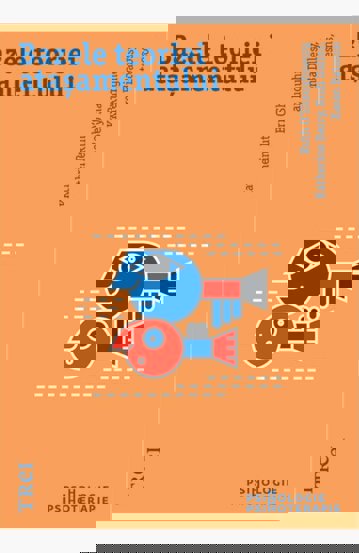 Bazele teoriei atasamentului - 52.70 Lei