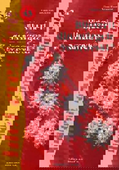 Bijuterii din margele Swarovski - 9.24 Lei