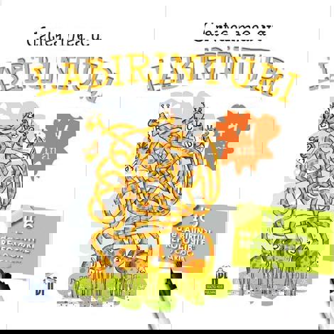 Cartea mea cu labirinturi (+ 4 ani) - 26.59 Lei