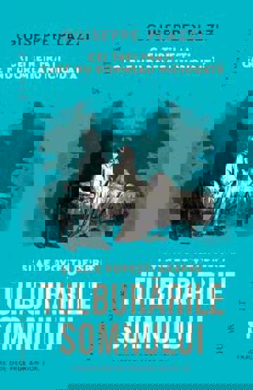 Cei trei frati care nu dormeau niciodata si alte povesti despre tulburarile somnului - 34.39 Lei