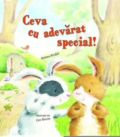 Ceva cu adevarat special - 27.63 Lei