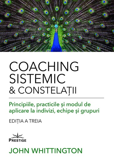 Coaching Sistemic si Constelatii - 95.10 Lei