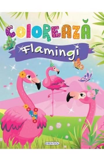 Coloreaza - Flamingi - 24,20 Lei