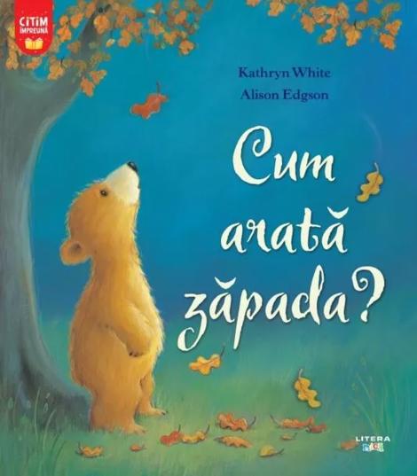 Cum arata zapada? - 15.18 Lei