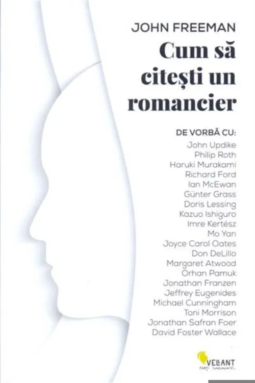 Cum sa citesti un romancier - 24.52 Lei