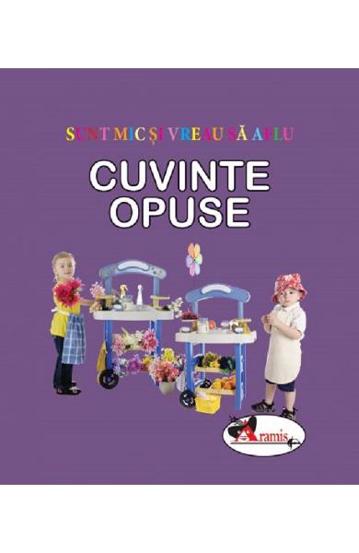 Cuvinte opuse - 13.87 Lei