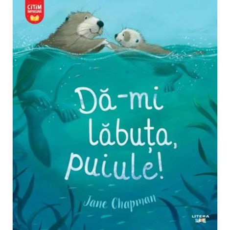 Da-mi labuta puiule! - 16.78 Lei