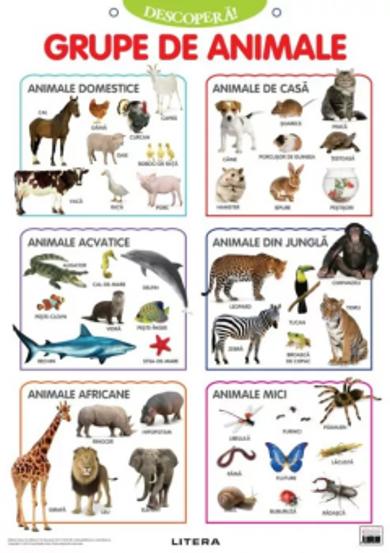 Descopera! Grupe de animale (planse educationale) - 10.76 Lei