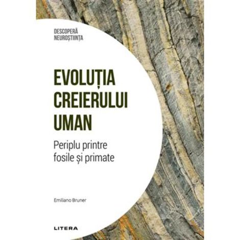Descopera Neurostiinta. Evolutia Creierului Uman. Periplu Printre Fosile Si Primate - 28.81 Lei