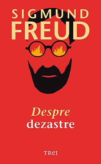 Despre dezastre - 26,10 Lei
