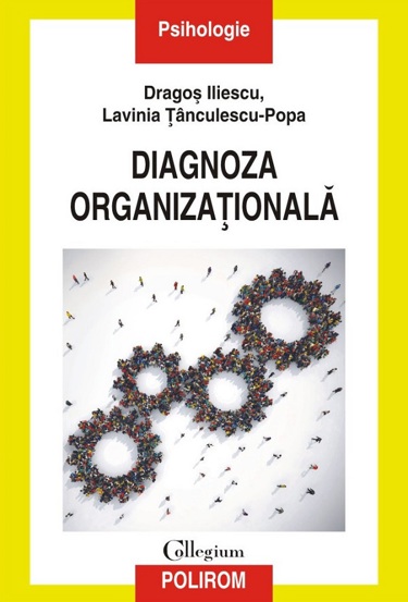 Diagnoza organizationala - 41,57 Lei