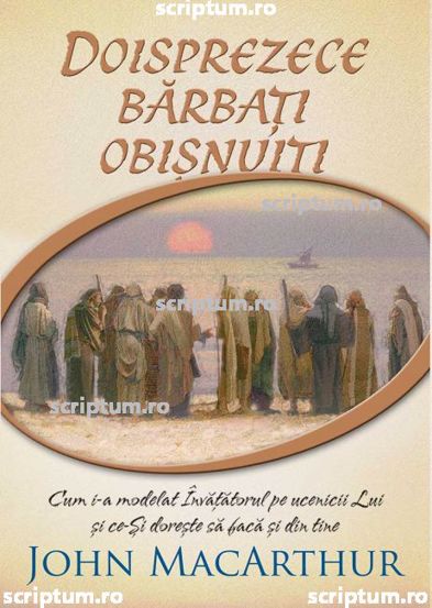 Doisprezece barbati obisnuiti - 34.54 Lei