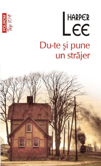 Du-te si pune un strajer - 25.39 Lei