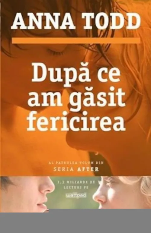 Dupa ce am gasit fericirea - 31.97 Lei