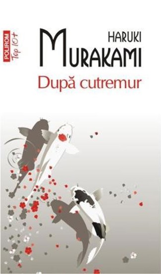 Dupa cutremur - 18,72 Lei