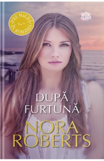 Dupa furtuna - 16.00 Lei