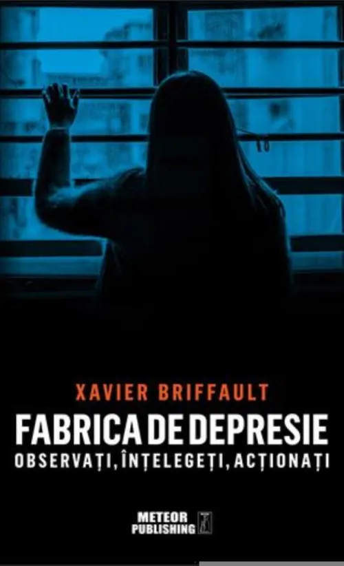 Fabrica de depresie: observati intelegeti actionati - 24.76 Lei