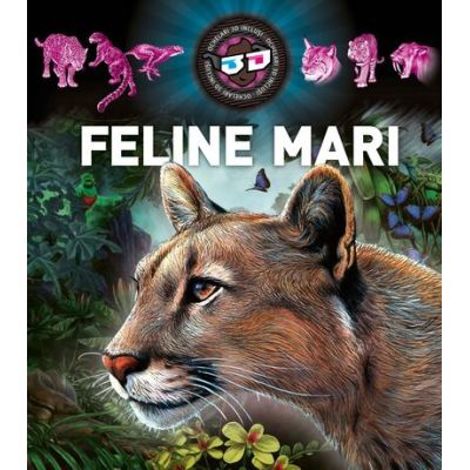 Feline mari 3D - 39.20 Lei