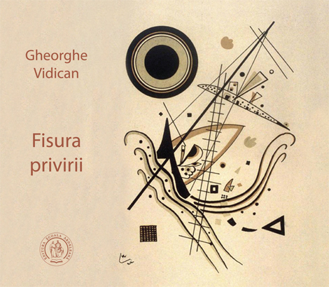 Fisura privirii - 25.60 Lei