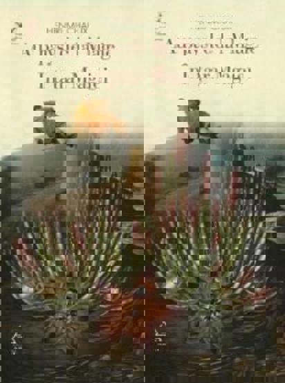 In tara Magiei - 27.52 Lei