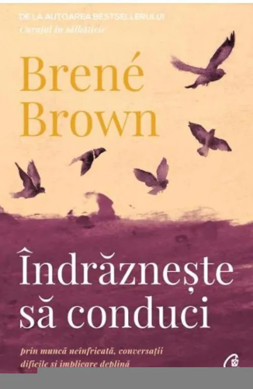 Indrazneste sa conduci - 49.40 Lei