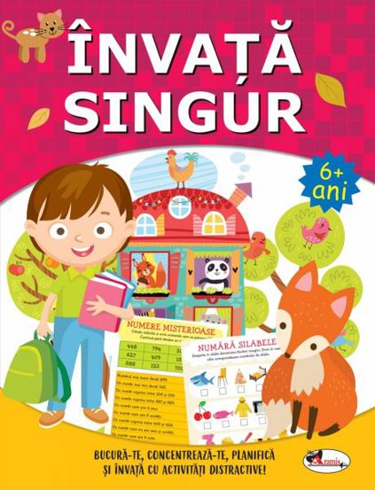 Invata singur. Carte de activitati + 6 - 24.26 Lei