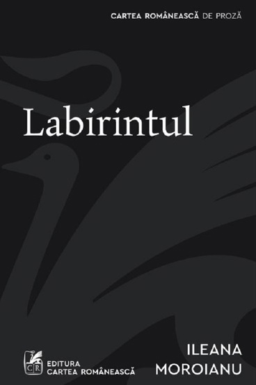 Labirintul - 29.15 Lei